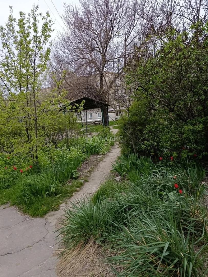 Photo 36