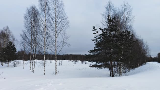 Купить земельный участок в Рыбинске. Вариант № 2052757, 1, площадь - квм, цена 1600000 рублей