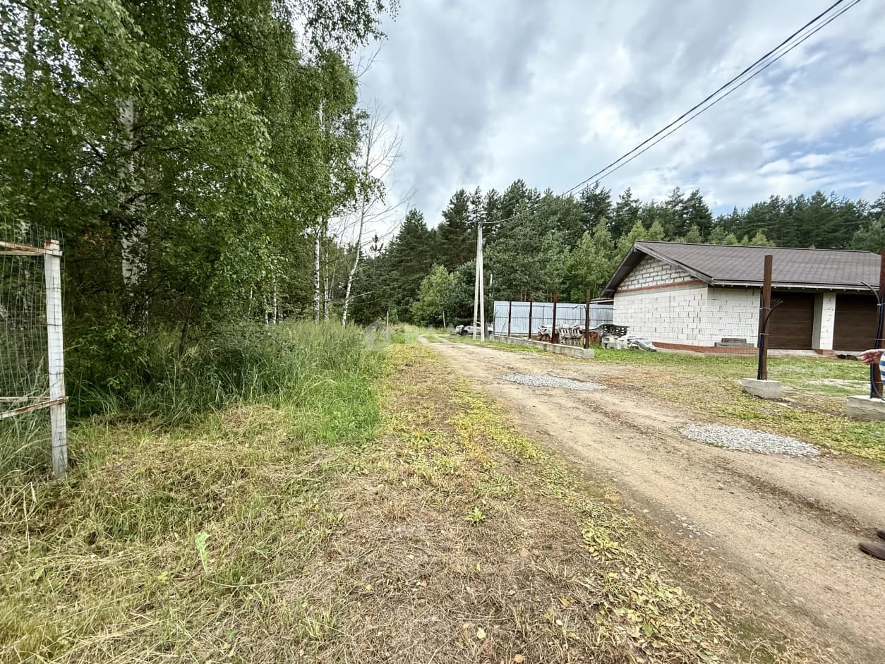 Photo 11