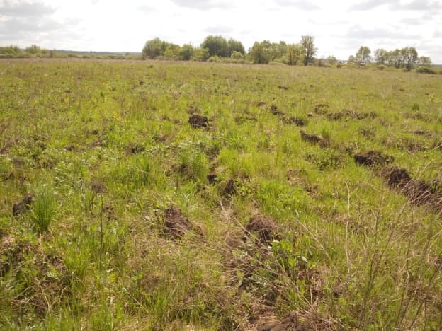 Купить земельный участок в Белгородском Муниципальном Округе в Белгородской области. Вариант № 509497, 0, площадь - квм, цена 1150000 рублей
