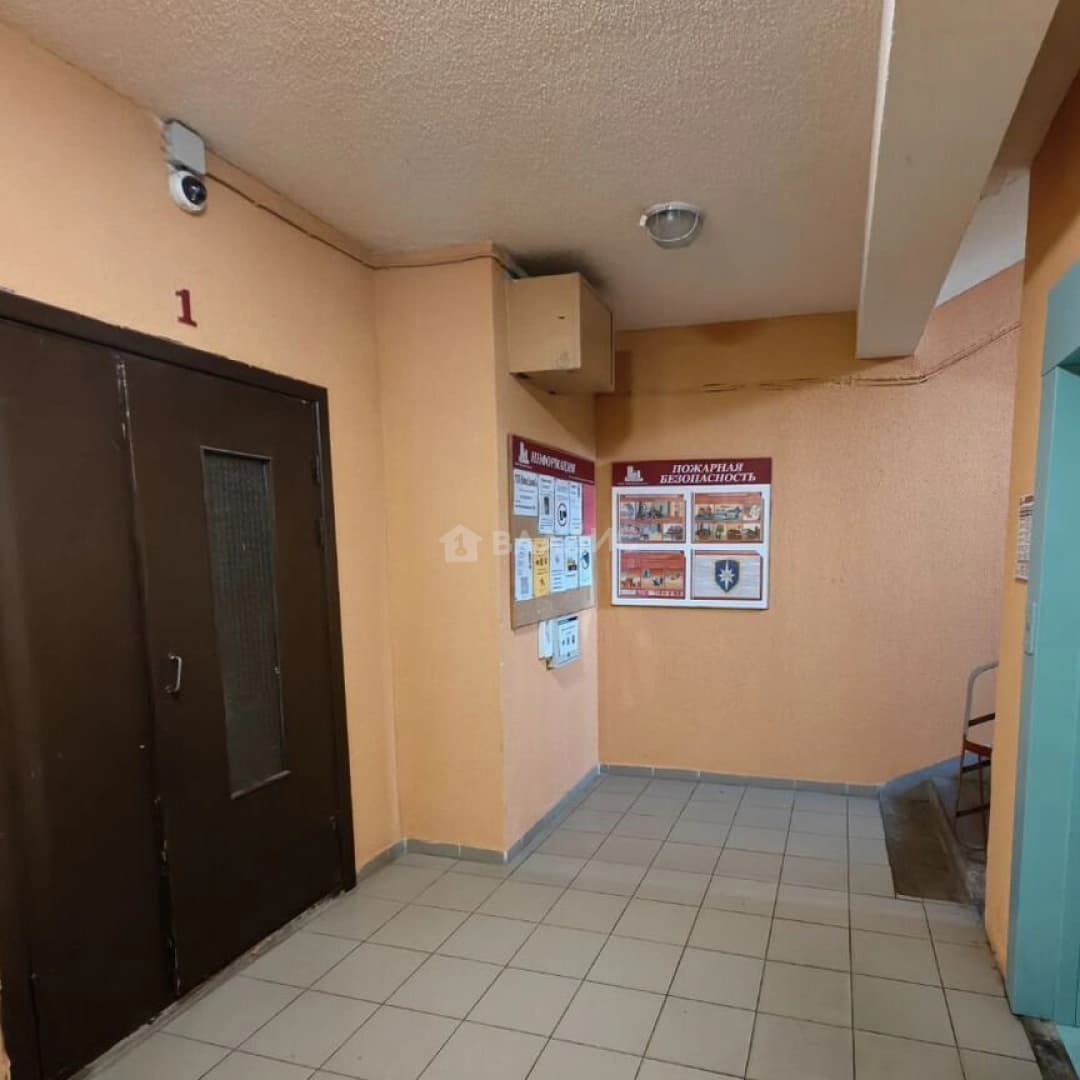 Photo 5