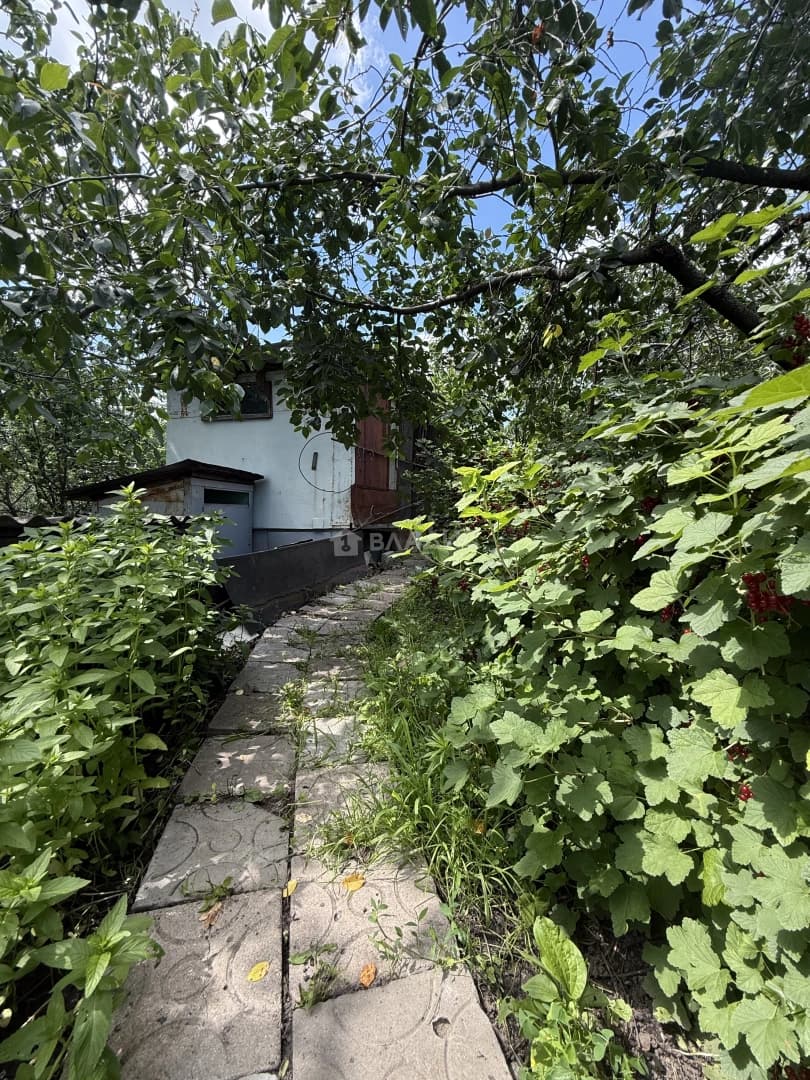 Photo 26