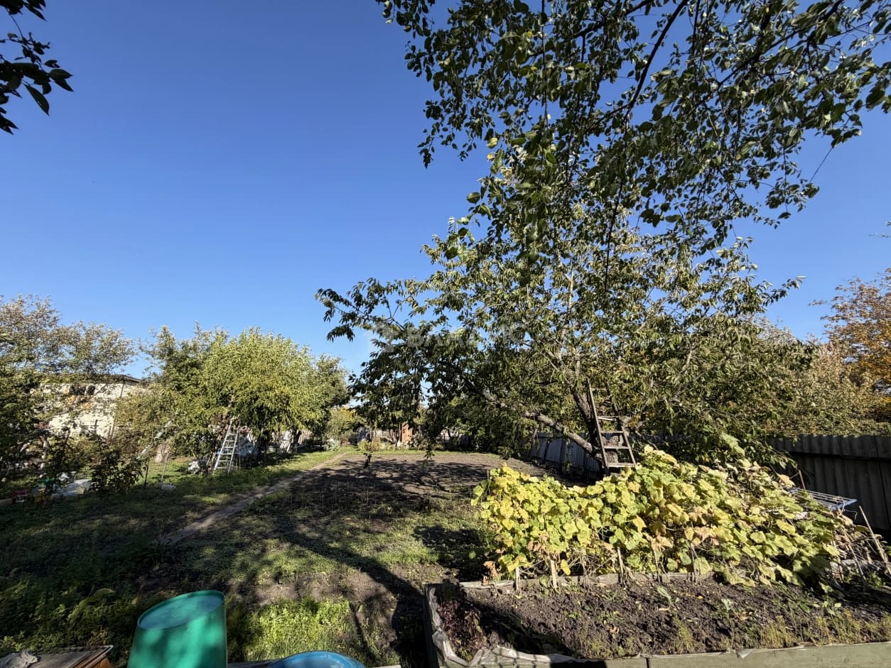 Photo 36
