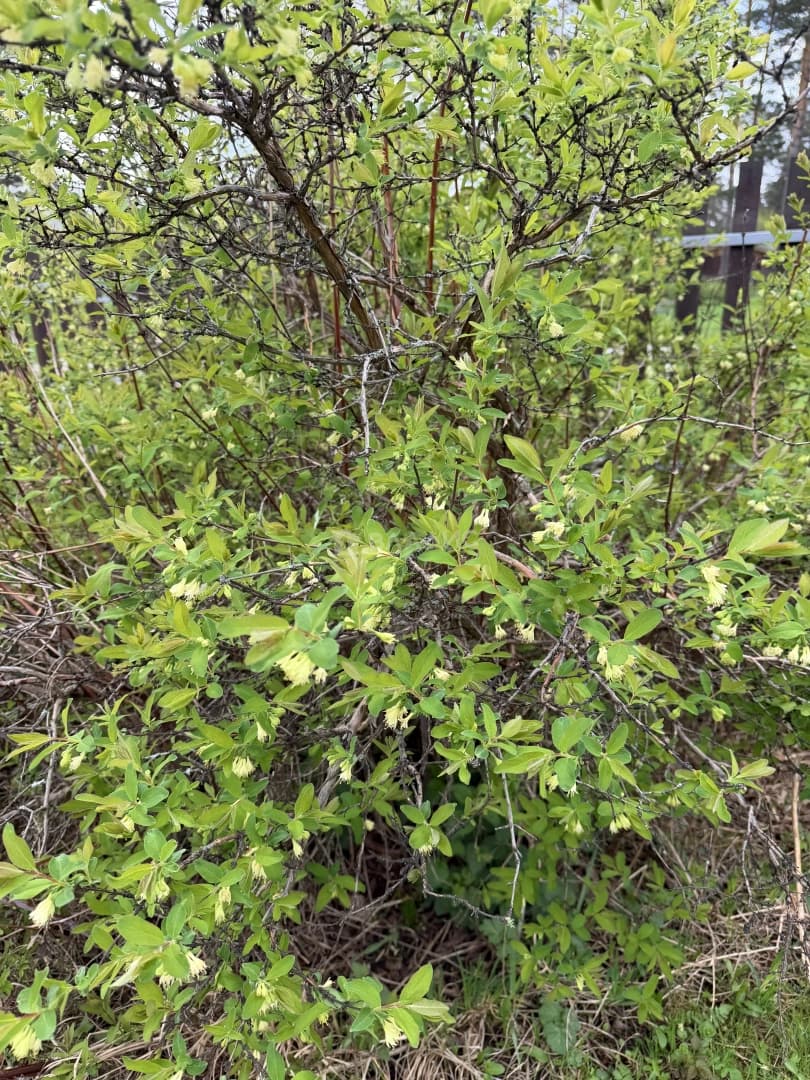 Photo 28