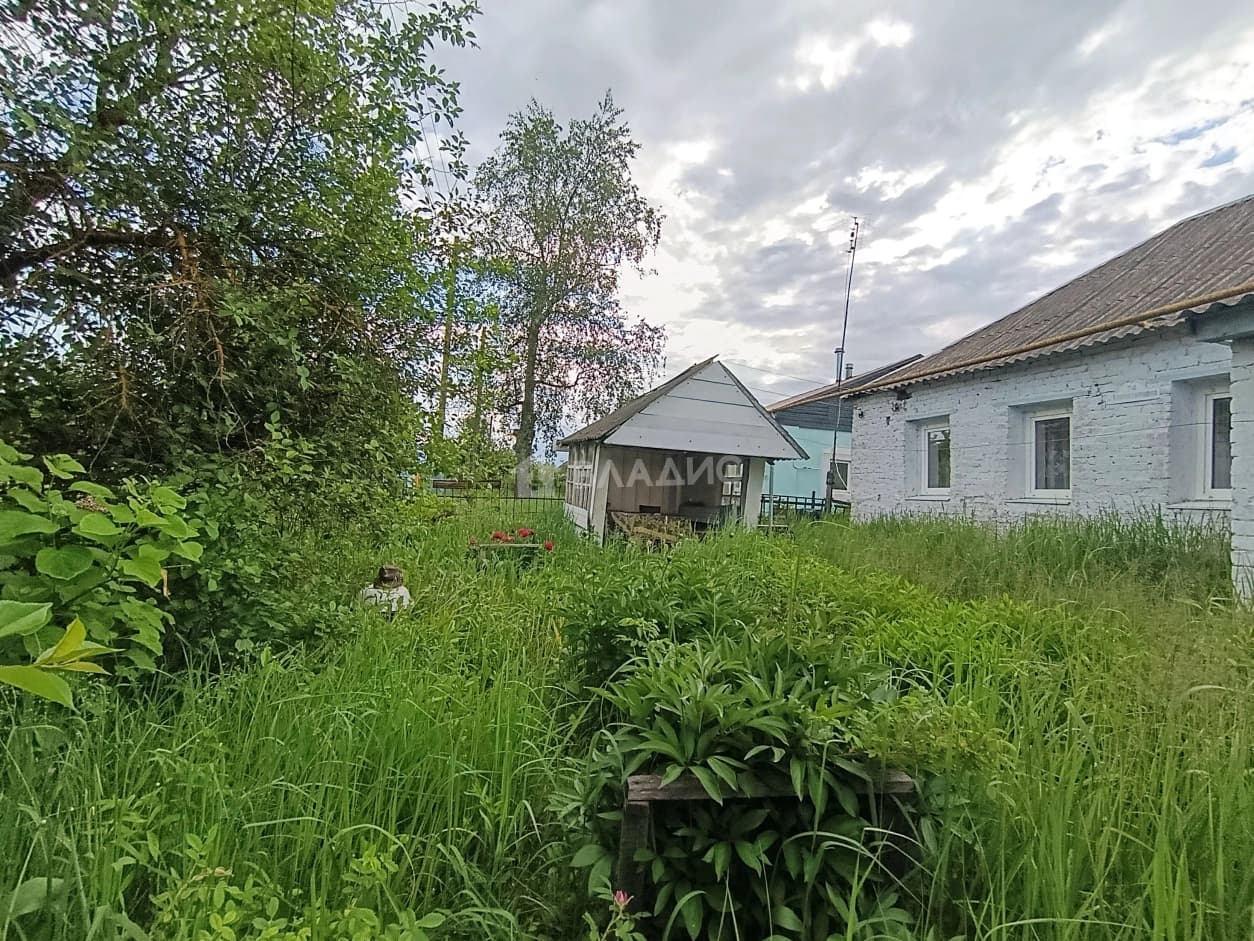 Photo 24