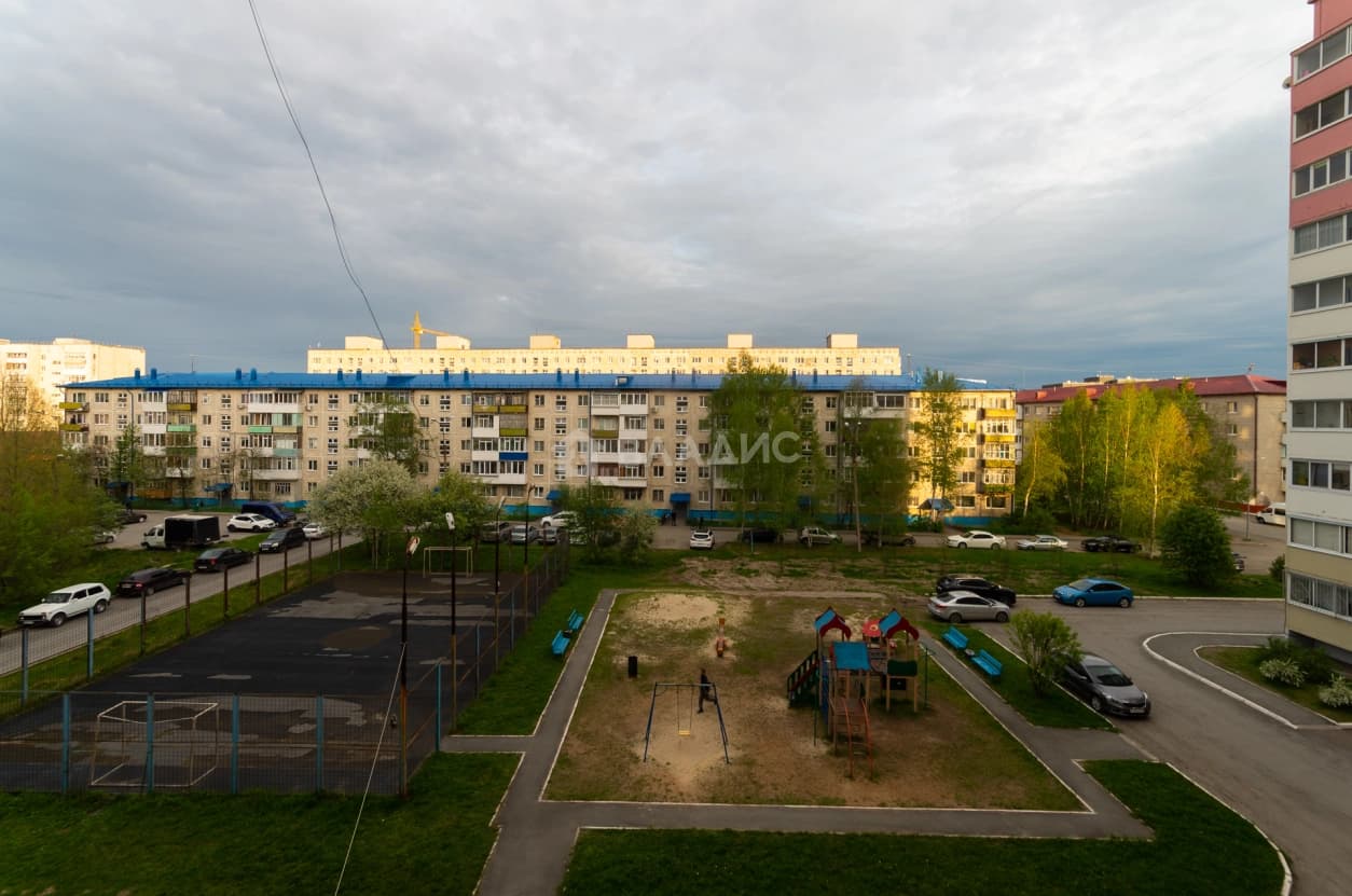 Photo 11