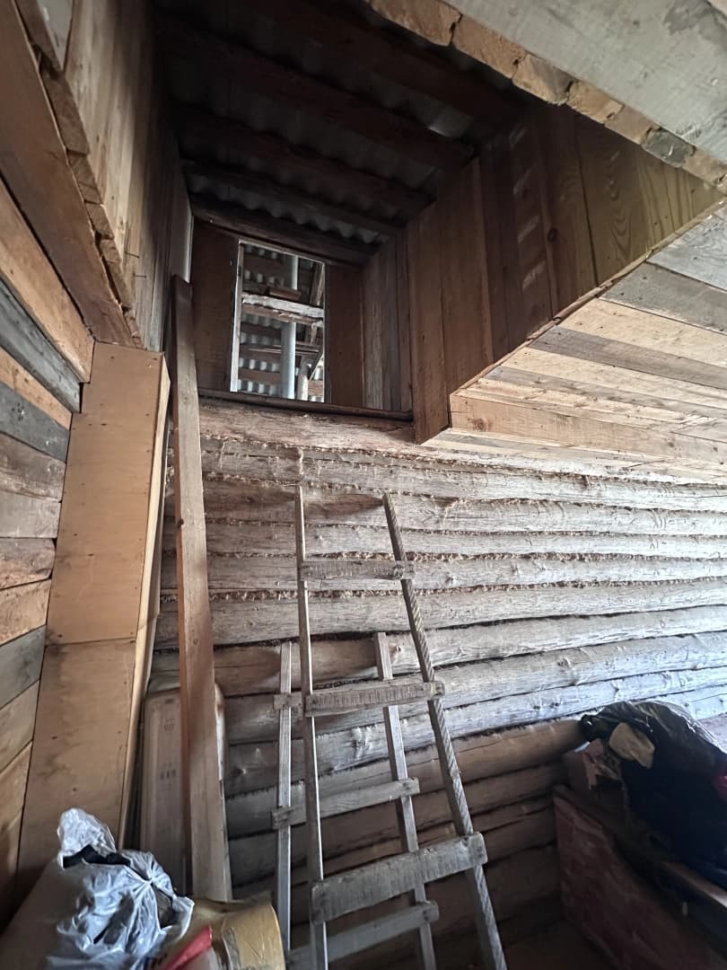 Photo 11