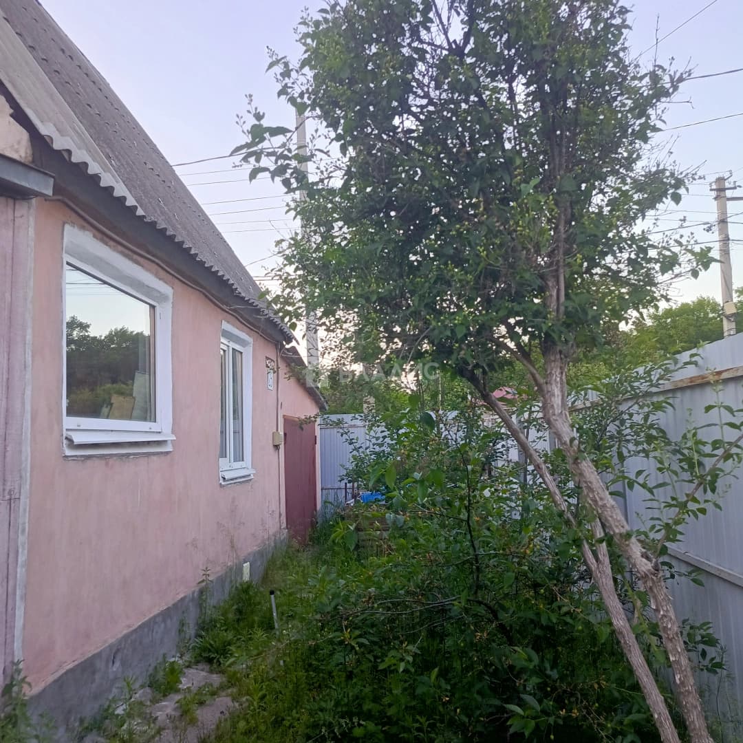 Photo 50