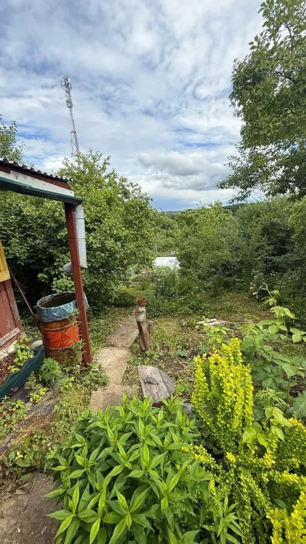 Photo 19