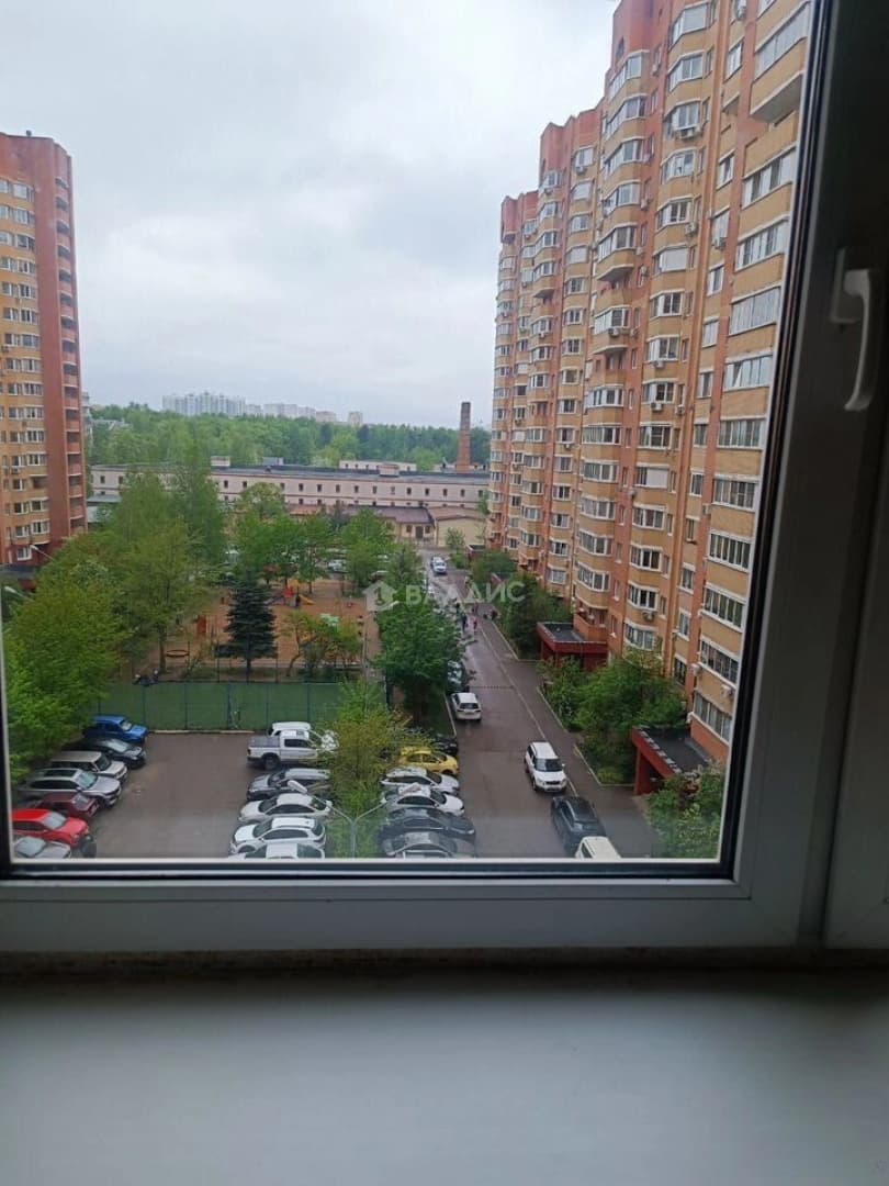 Photo 11
