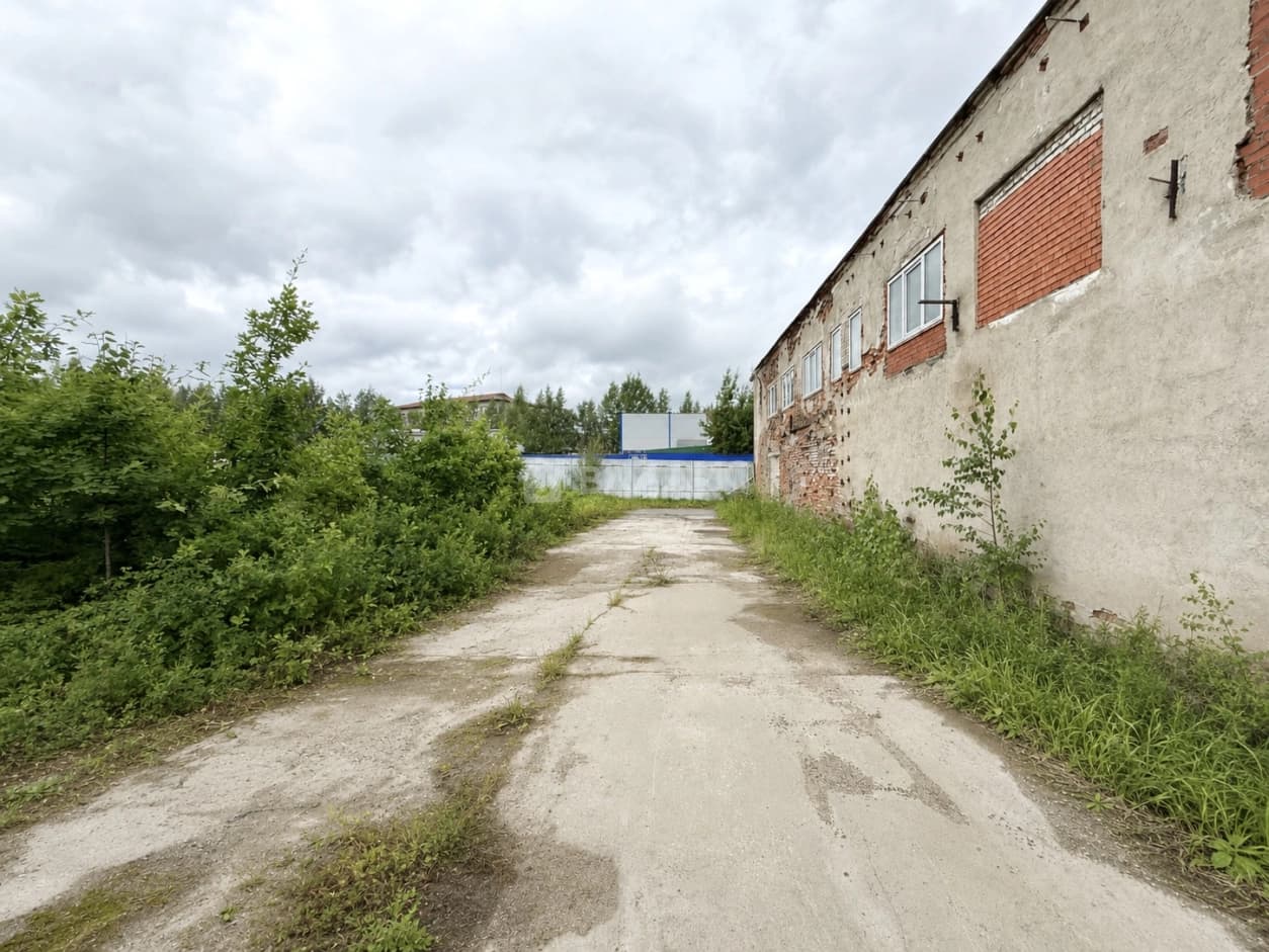 Photo 32