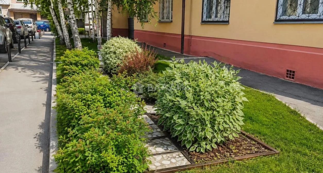 Photo 19