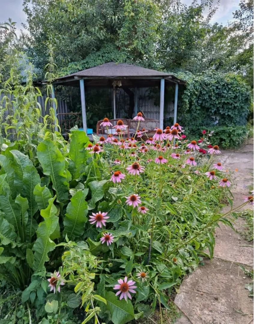 Photo 21