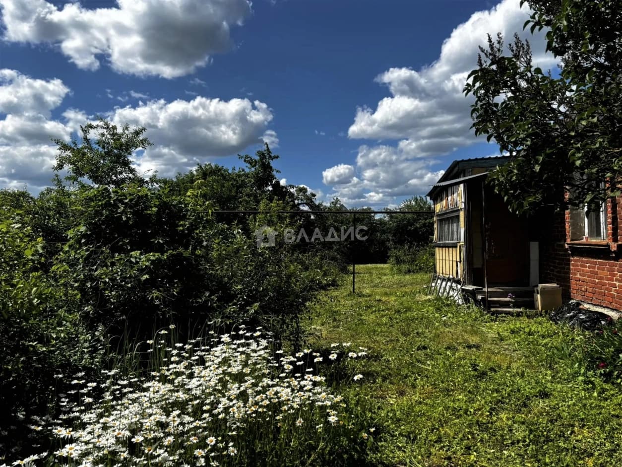 Photo 31