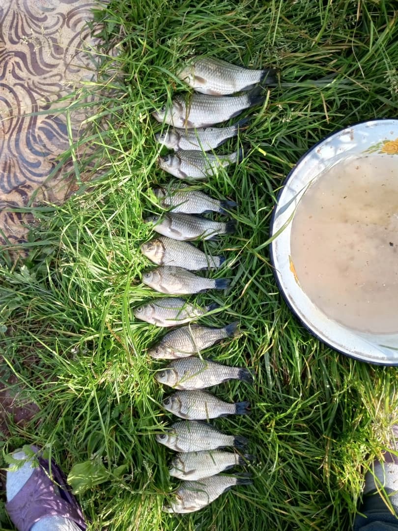 Photo 44