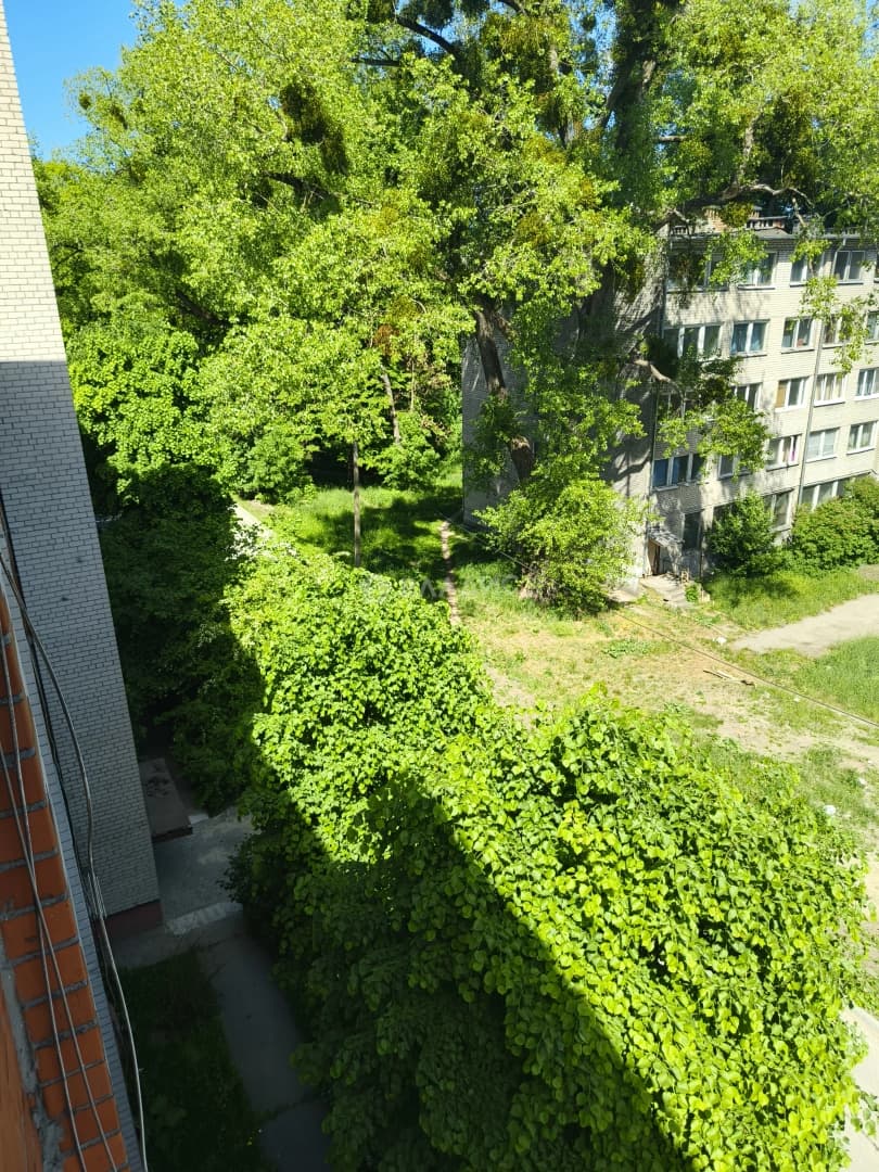 Photo 24