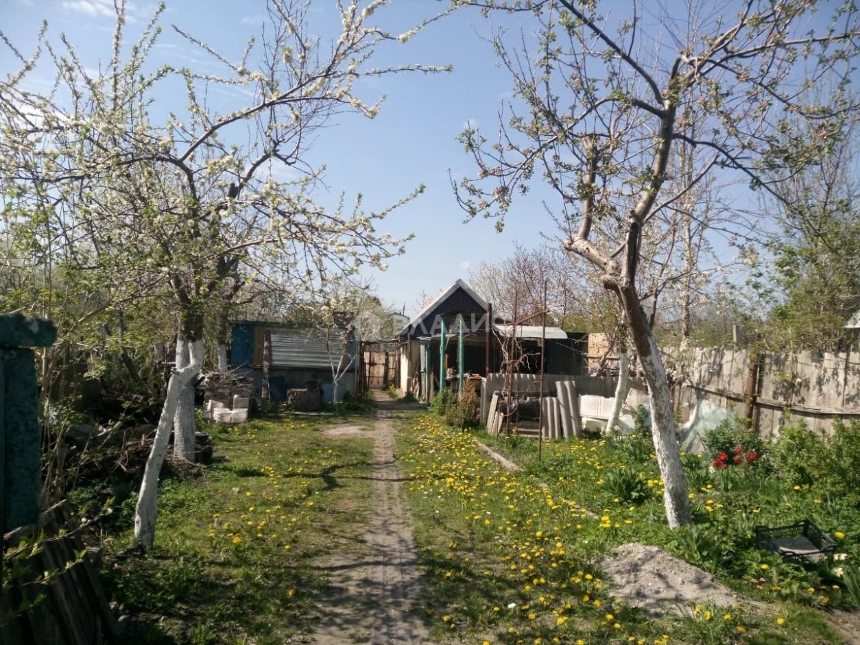 Photo 23
