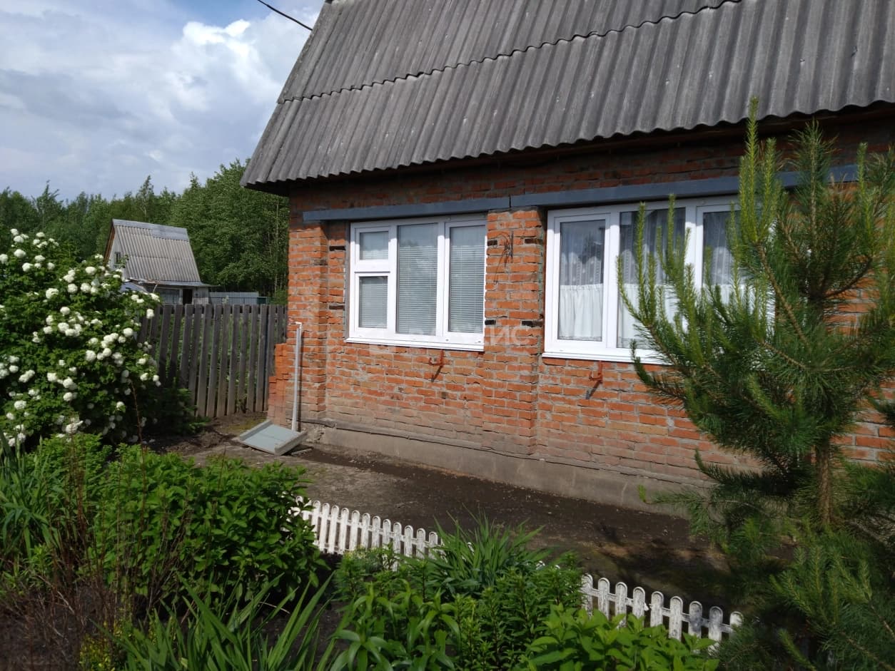 Photo 7