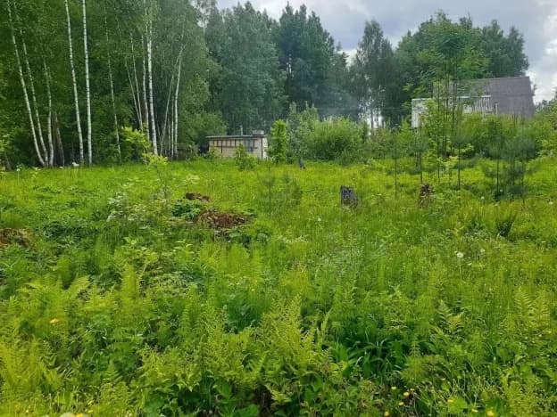 Купить земельный участок в Деревне Александровке в Юхновском Муниципальном Округе в Калужской области. Вариант № 2236929, 0, площадь - квм, цена 1000000 рублей