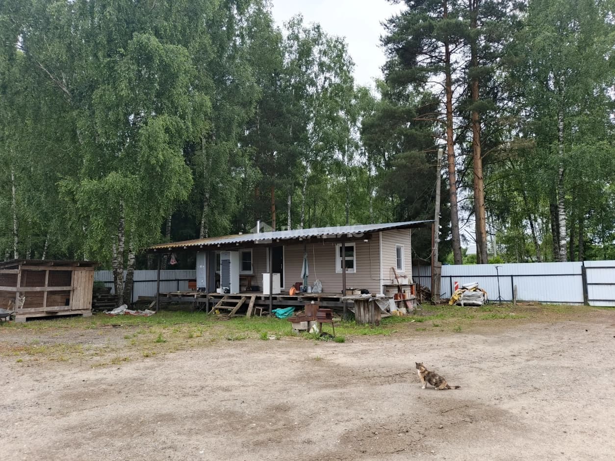 Photo 8