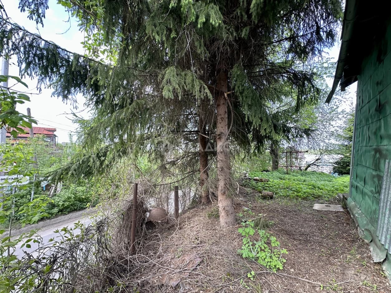 Photo 26