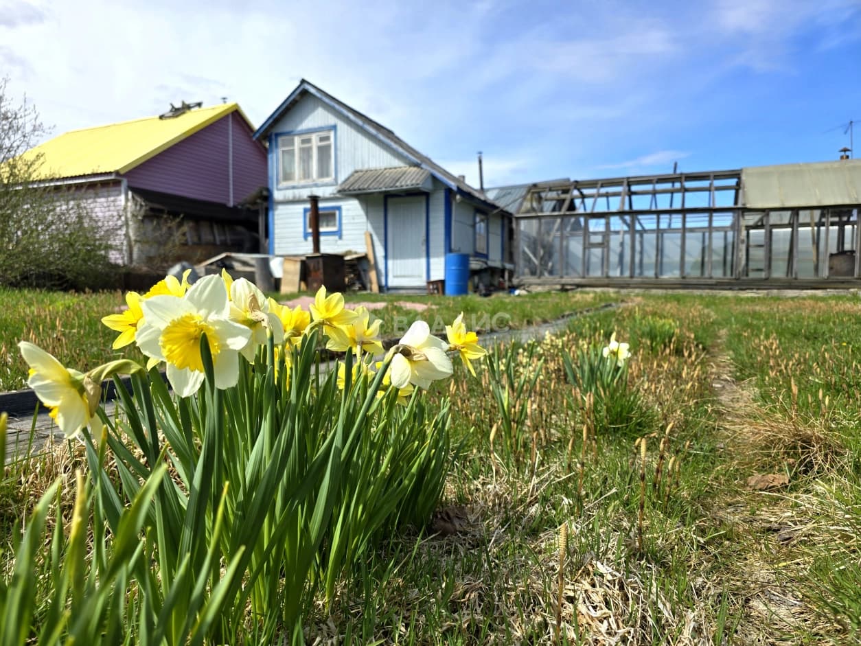 Photo 20