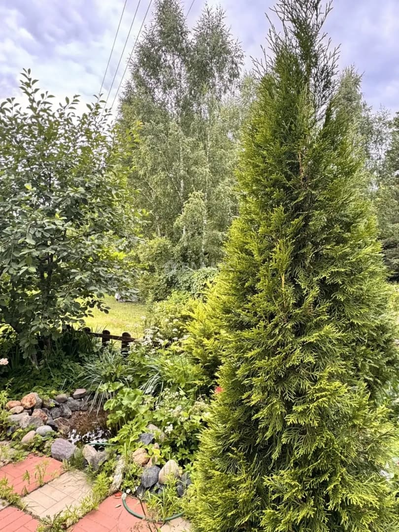 Photo 25