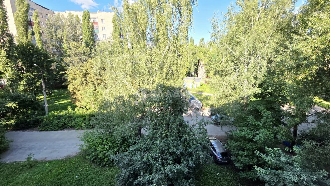 Photo 34