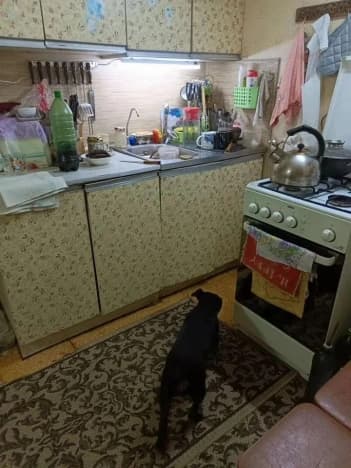 Купить однокомнатную квартиру в ЖК Отражение в Владимире. Вариант № 2341617, 0, площадь - квм, цена 3250000 рублей