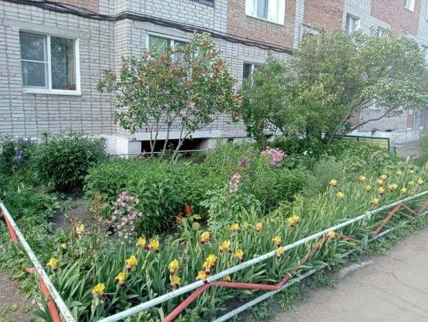 Купить квартиру площадью 100 кв.м в Омской области. Вариант № 2114137, 0, площадь - квм, цена 5500000 рублей