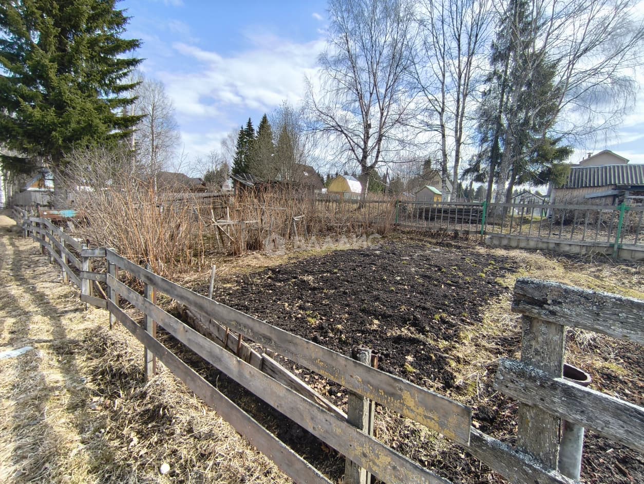 Photo 25