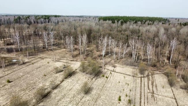 Купить земельный участок на улице Крупской в Воскресенске. Вариант № 2304071, 1, площадь - квм, цена 650000 рублей
