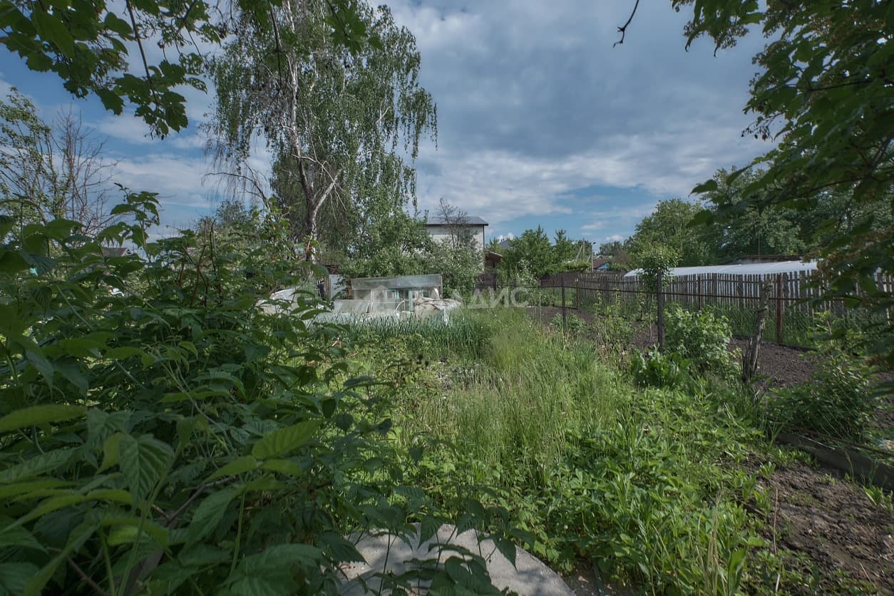 Photo 20