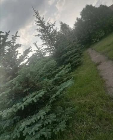 Купить земельный участок в Белгородской области. Вариант № 2171628, 1, площадь - квм, цена 2500000 рублей