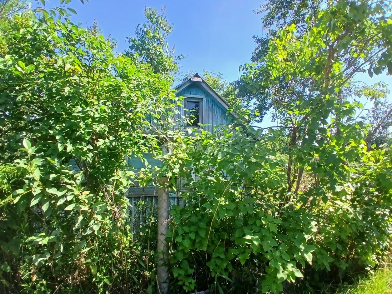 Photo 16