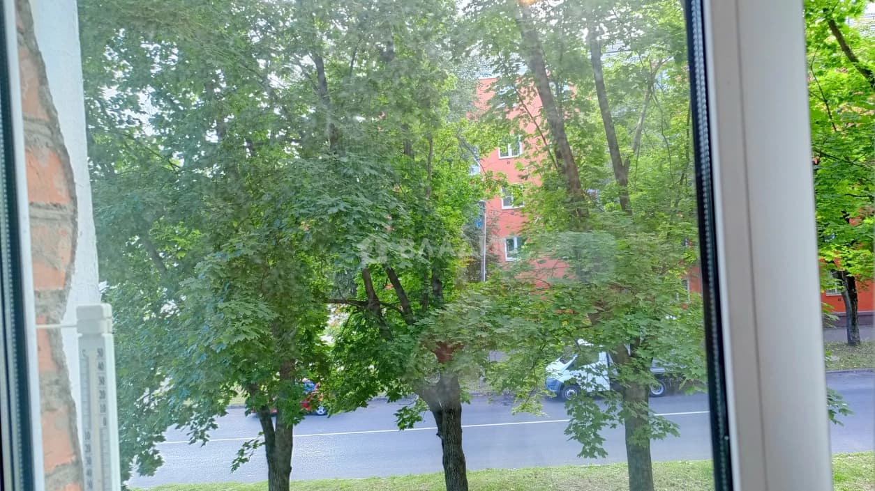 Photo 29