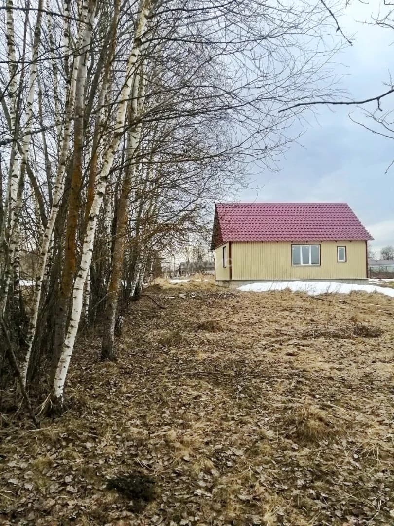 Photo 19