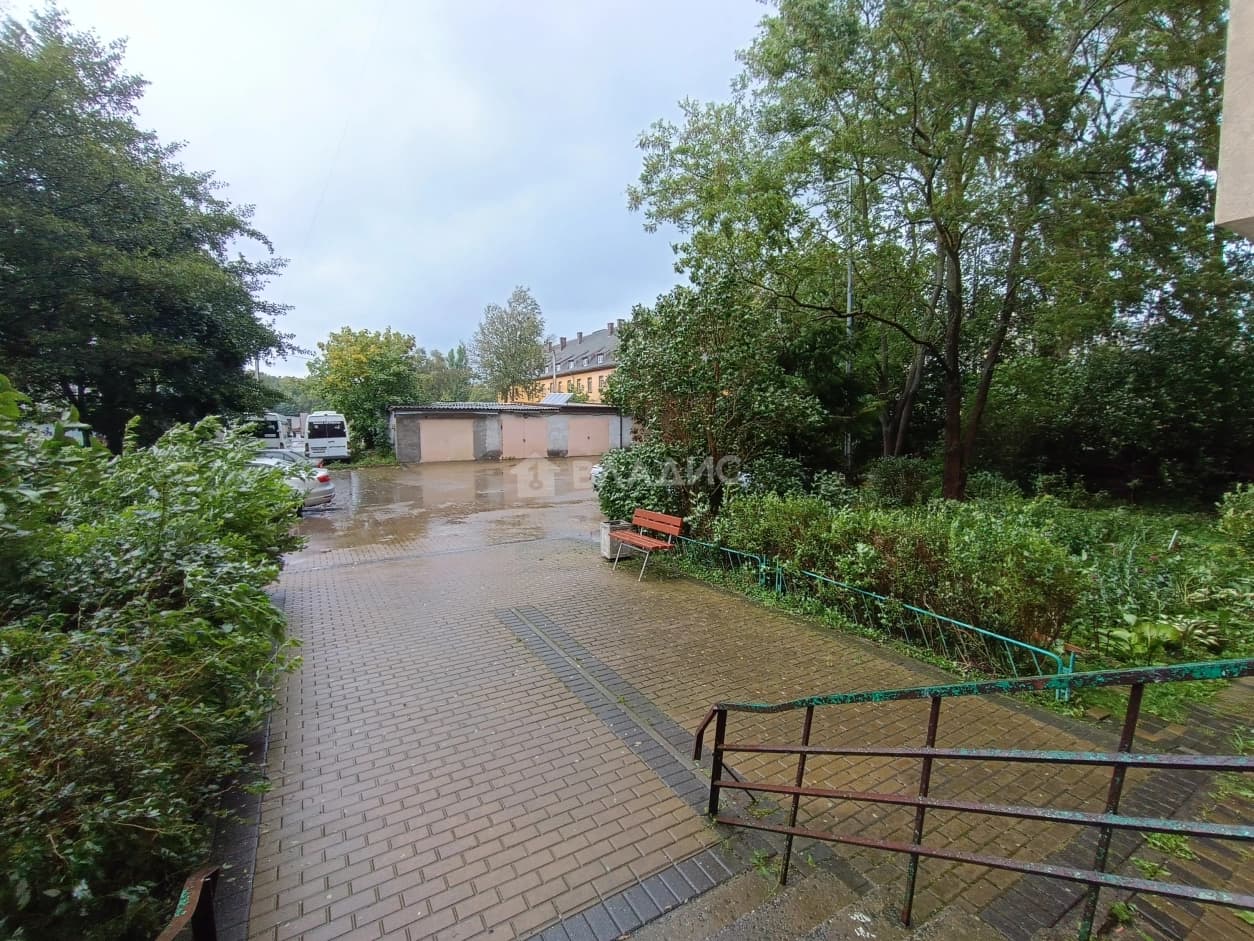 Photo 41