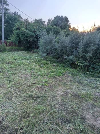 Купить дачу в селе Алеканово в Рязанском районе в Рязанской области. Вариант № 2244135, 1, площадь - квм, цена 1000000 рублей