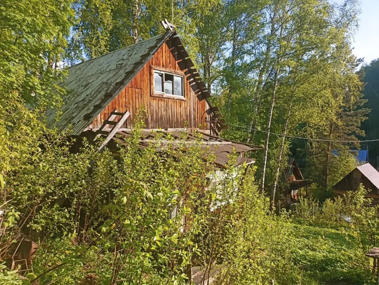 Photo 5