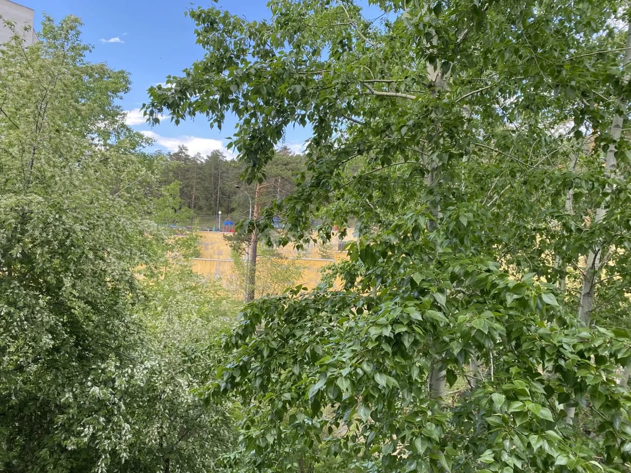 Photo 16