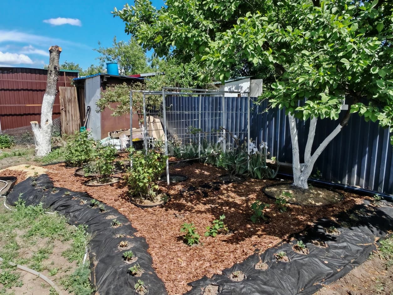 Photo 15