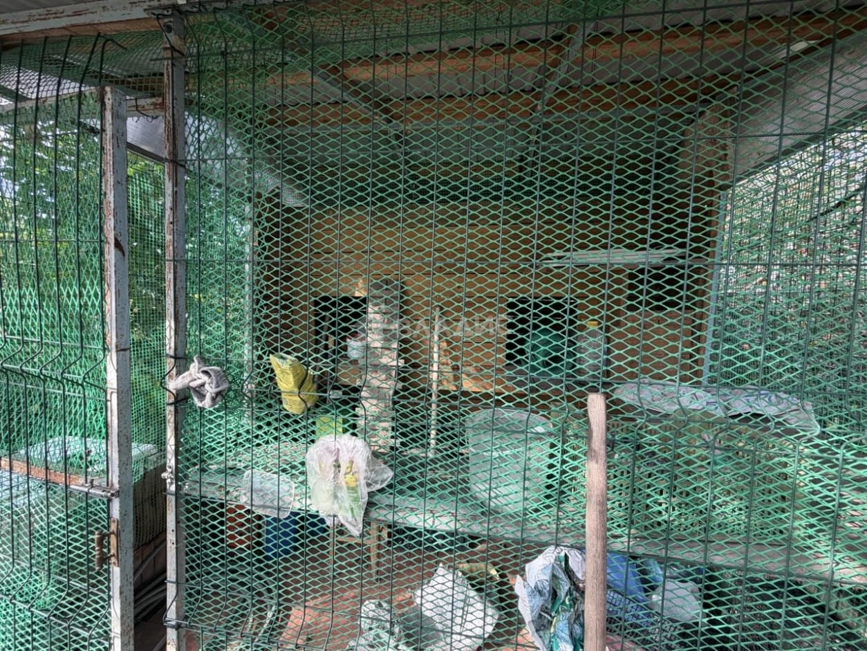 Photo 41