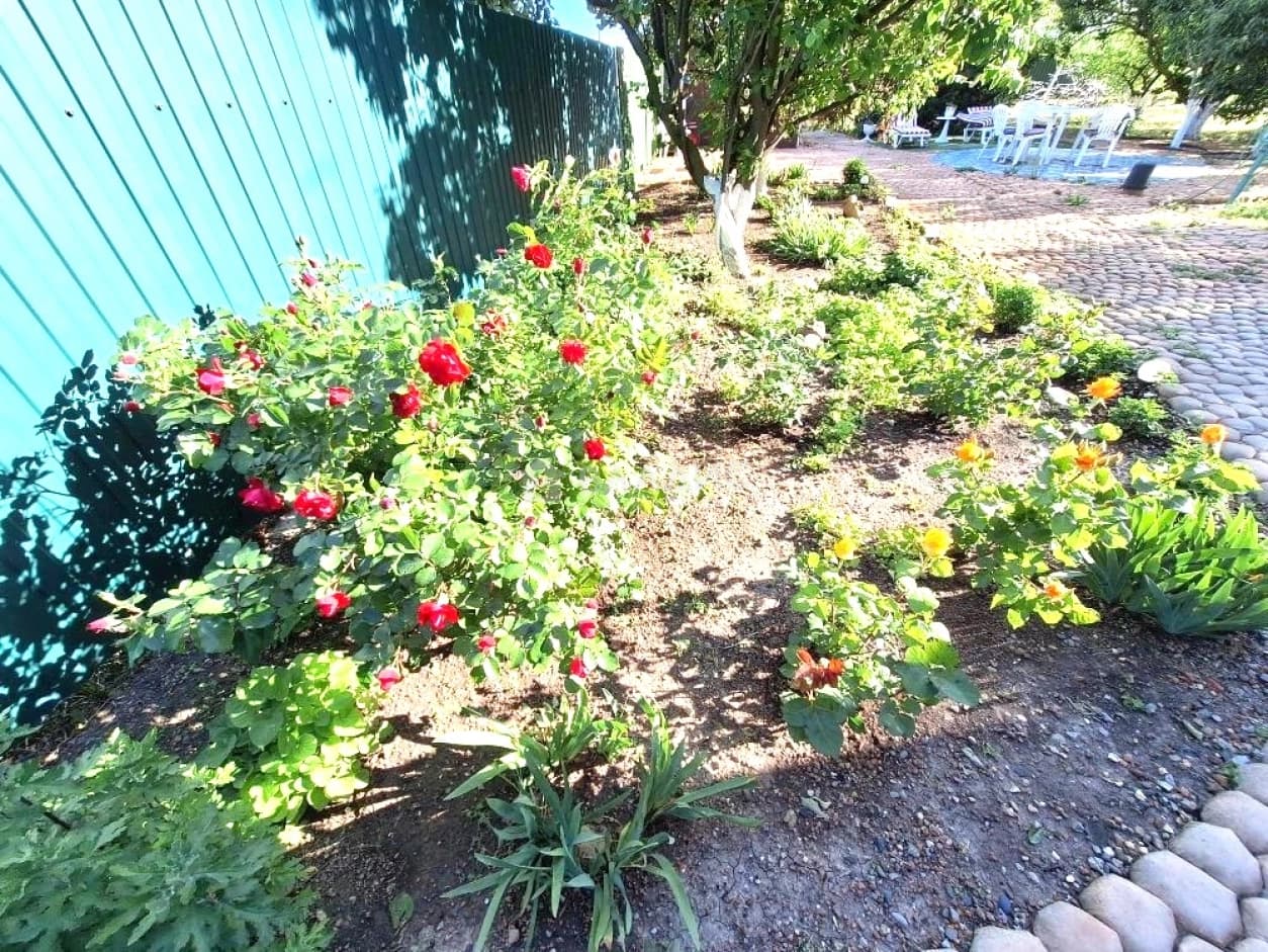 Photo 36