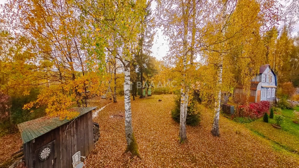 Photo 43
