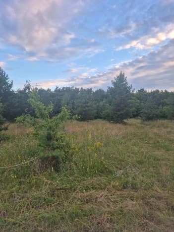 Купить земельный участок на улице 18-я в Воронеже. Вариант № 2231097, 1, площадь - квм, цена 5600000 рублей