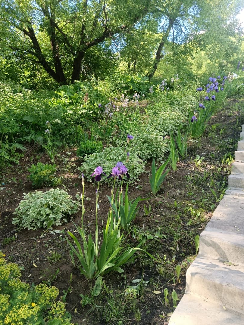 Photo 19