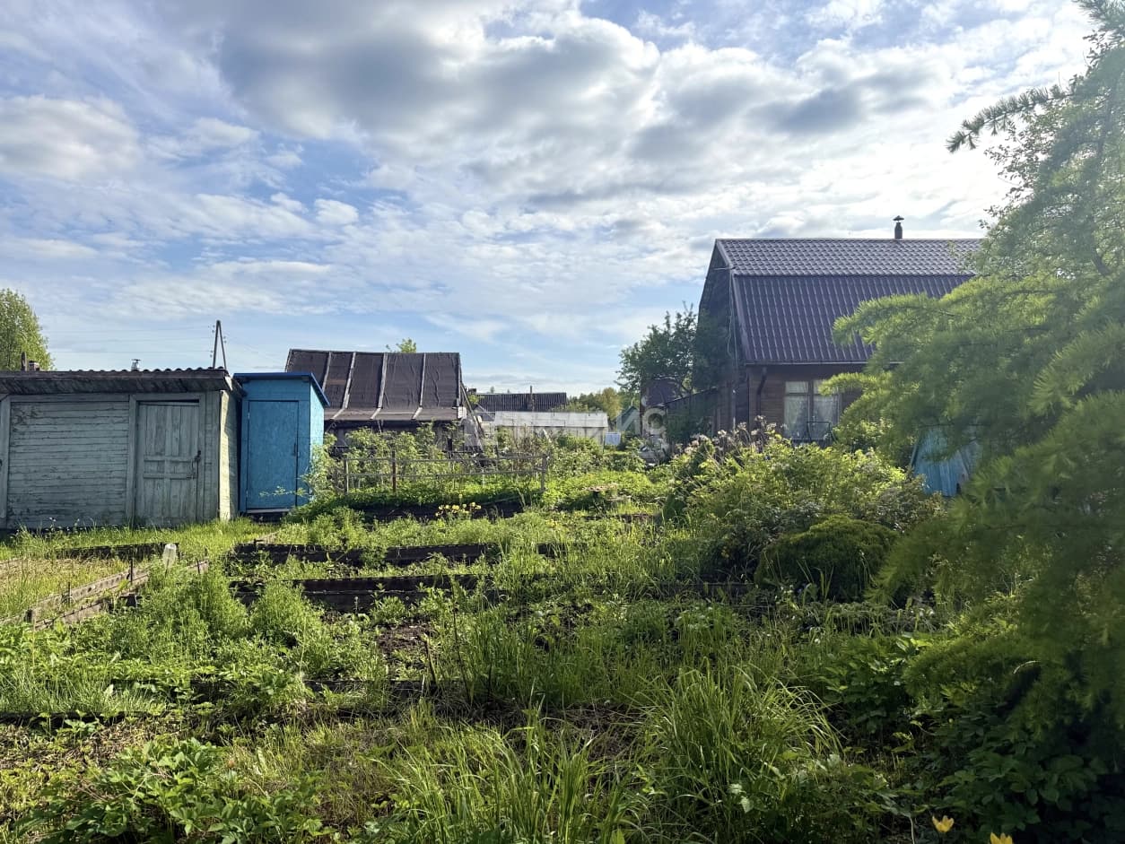 Photo 21