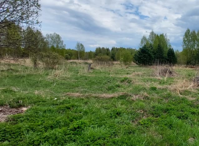 Купить земельный участок в Деревне Филиппуши в Суздальском районе в Владимирской области. Вариант № 2101273, 1, площадь - квм, цена 500000 рублей