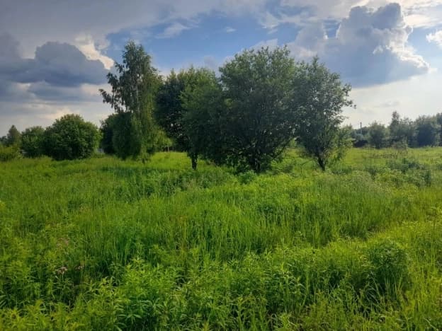 Купить земельный участок в селе Захарово в Раменском Муниципальном Округе в Московской области. Вариант № 2217142, 0, площадь - квм, цена 899999 рублей